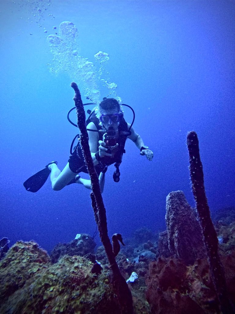 Rick Parker (Underwater Parker) filming a seahorse with a GoPro while diving in the Caribbean.