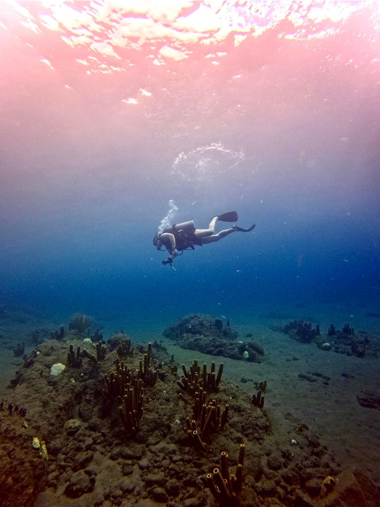 DCIM100GOPROGOPR0072.JPG