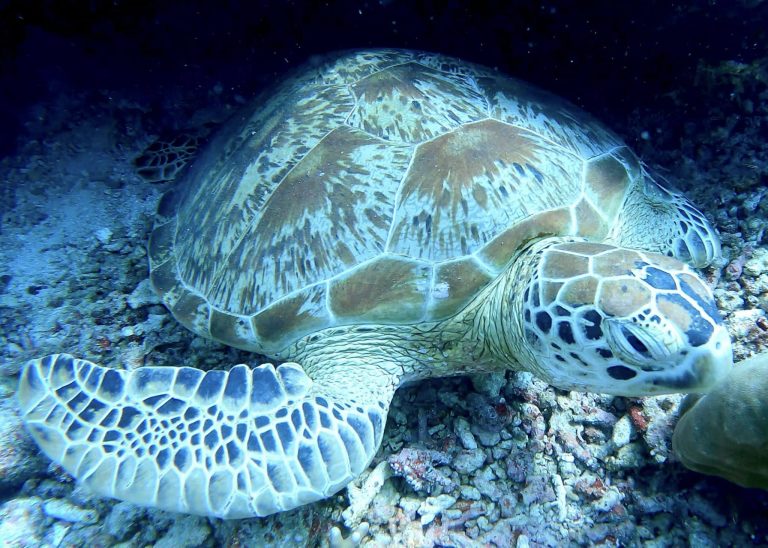 461225058_10161274373396281_4652098113178818802_n