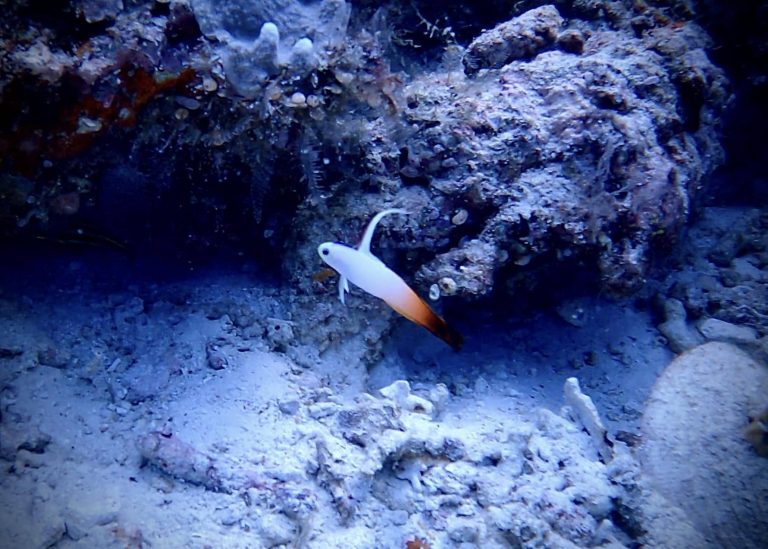 461320241_10161274374396281_3025617729678999906_n