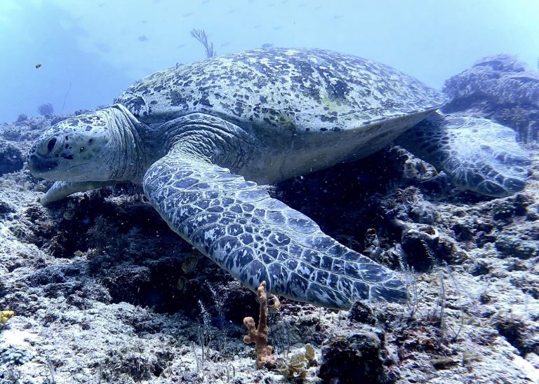 461505532_10161277839241281_4676166202741586457_n