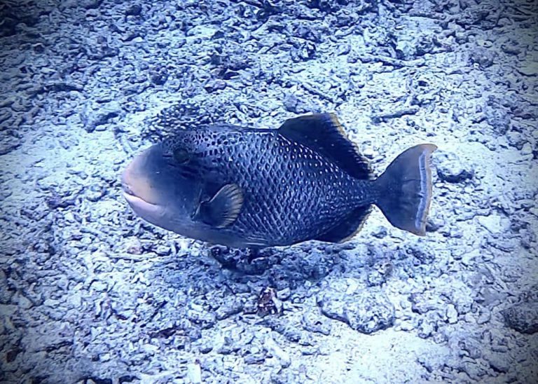 461518020_10161274373331281_2045647680362648124_n