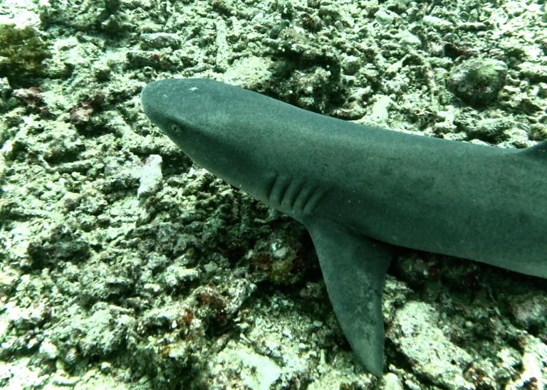 461558259_10161274373086281_8240840825345709713_n