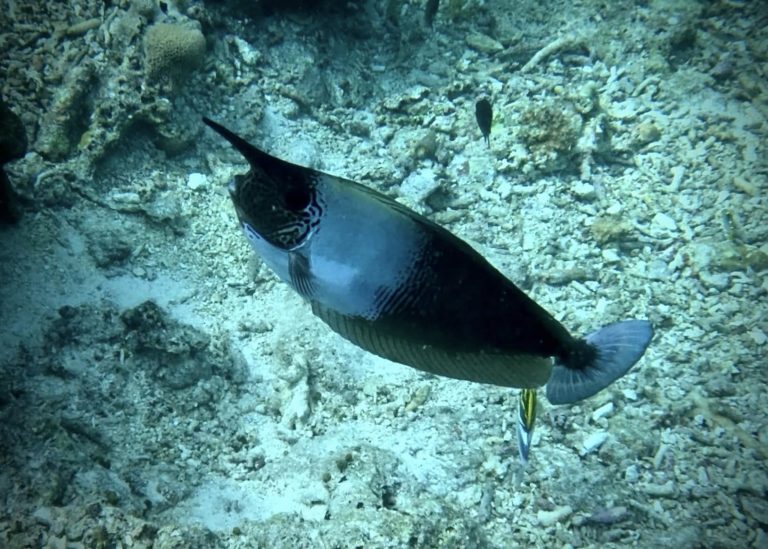 461558670_10161274373931281_1495023941716186792_n