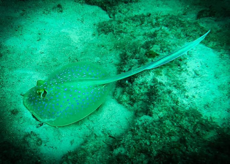 461565235_10161277831061281_6841303898997254090_n