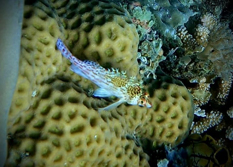 461575916_10161277831156281_1250788073558271358_n