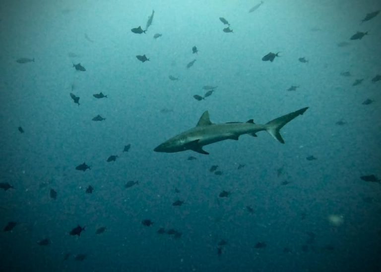 461594825_10161274361746281_8091937696858452399_n