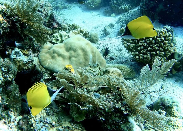 461597331_10161277830436281_552648118384391674_n