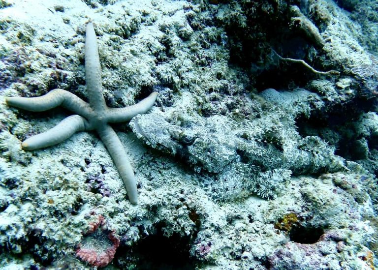 461604782_10161274372051281_6754448819995970922_n