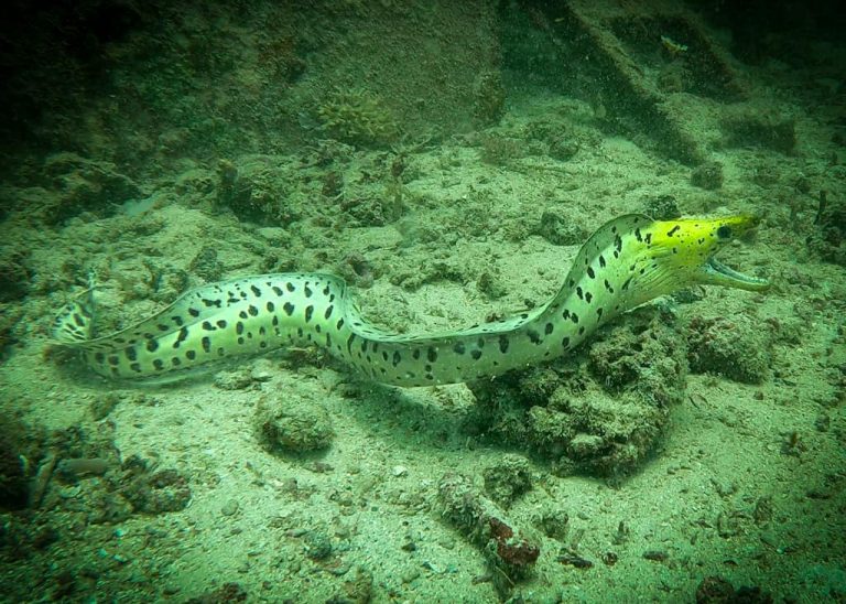 461616129_10161277839316281_2536734066070268008_n