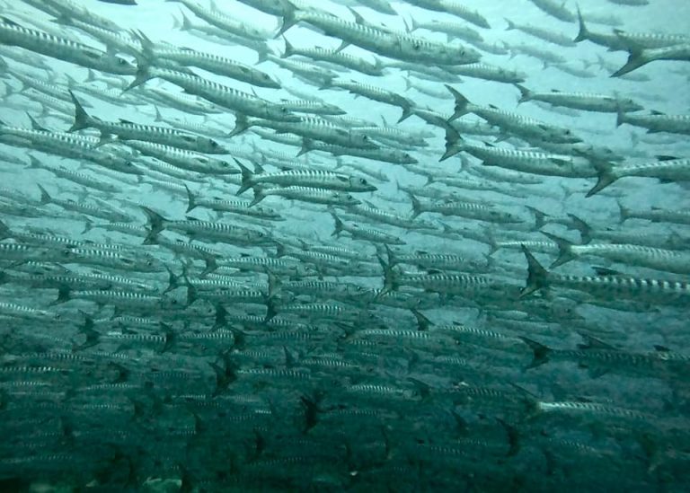 461624905_10161274369681281_7953848076165450970_n