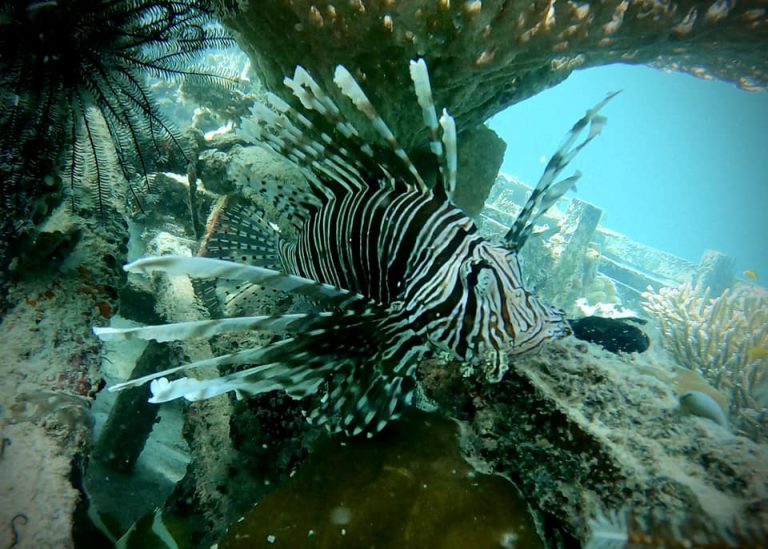 461655805_10161274372011281_2953381711630323335_n