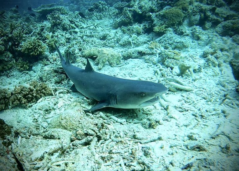 461656016_10161274371551281_7901939695583237710_n