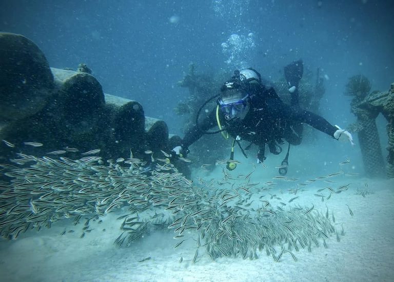 461679345_10161274367766281_1837214044034026337_n