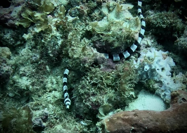 461682271_10161277823226281_5222402366721627140_n