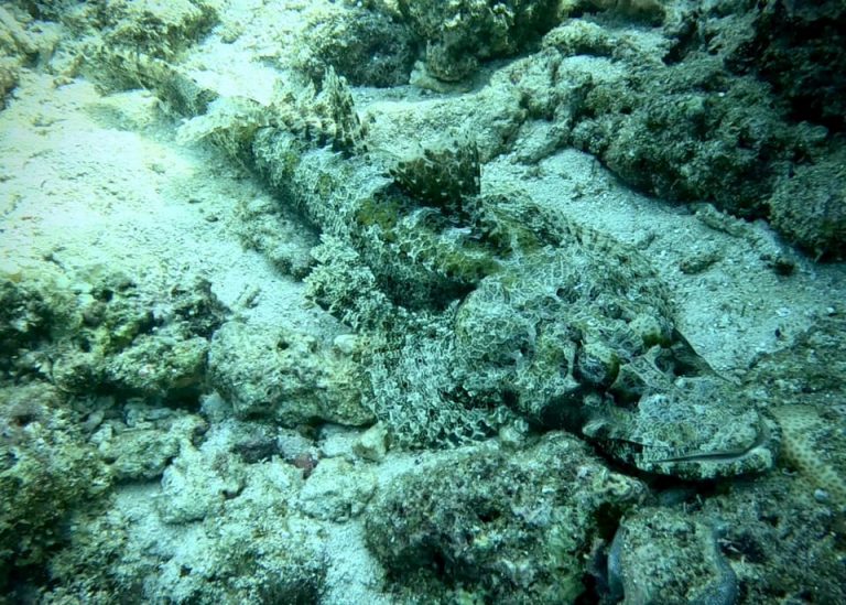 461683386_10161277830786281_1788512334939336180_n