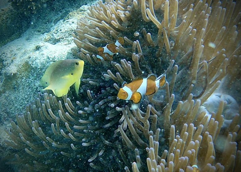 461696207_10161274371376281_8190932996810062194_n