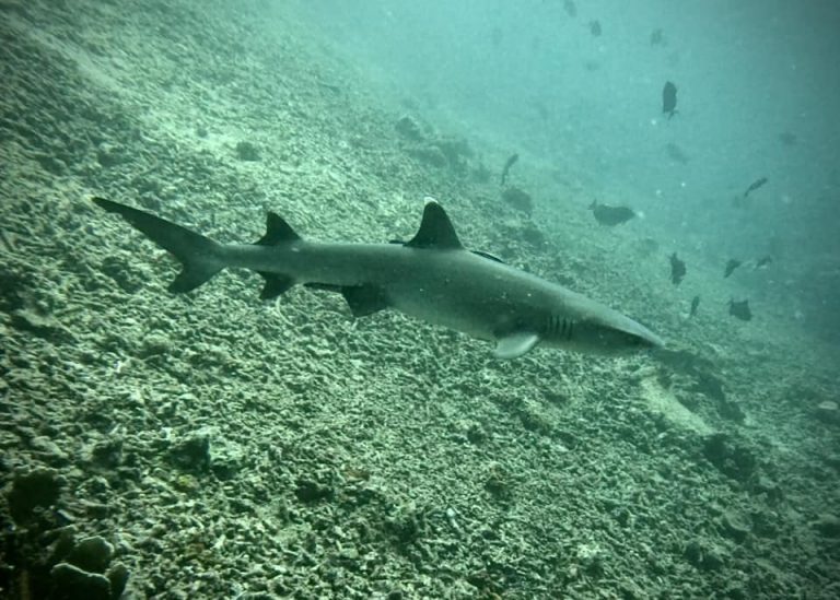 461696502_10161274372201281_5544767261956545881_n