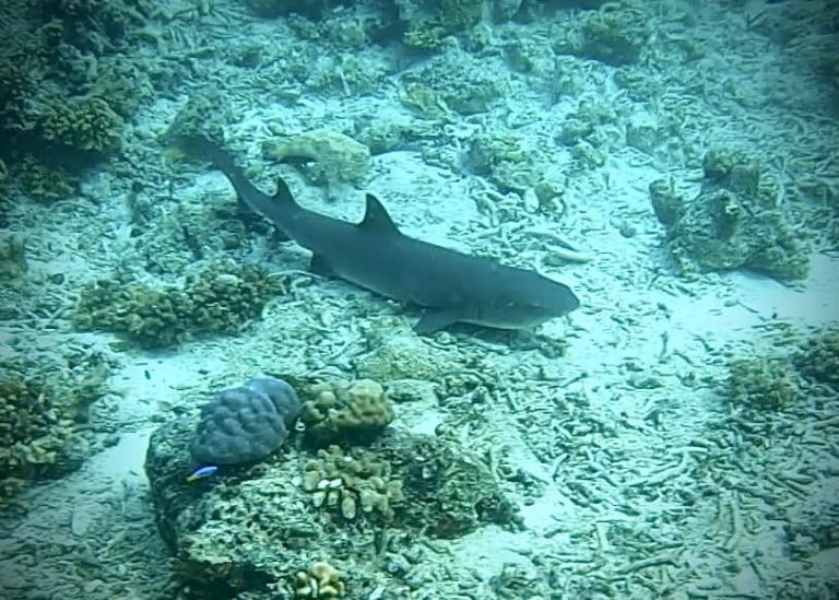 461700362_10161274371201281_4171850530782239048_n