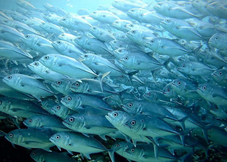 461705194_10161274359761281_3969306602031989473_n