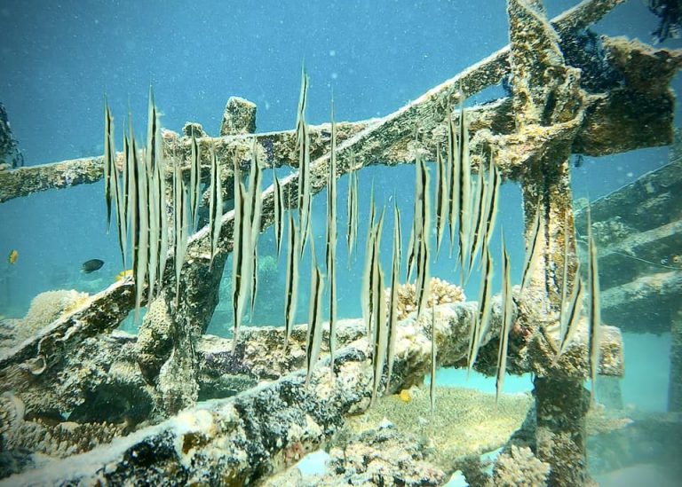 461713858_10161274371021281_8398298198462657777_n