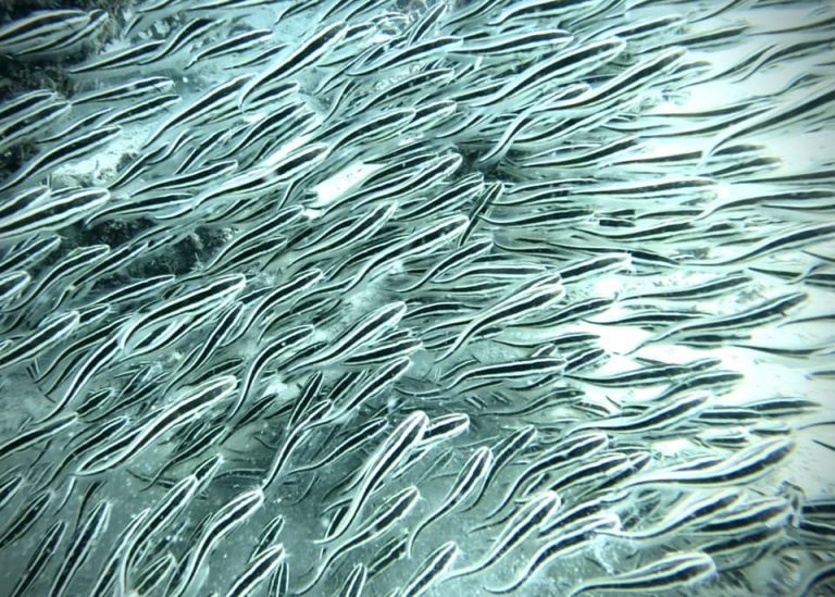 461754490_10161274371371281_4603889851452078603_n