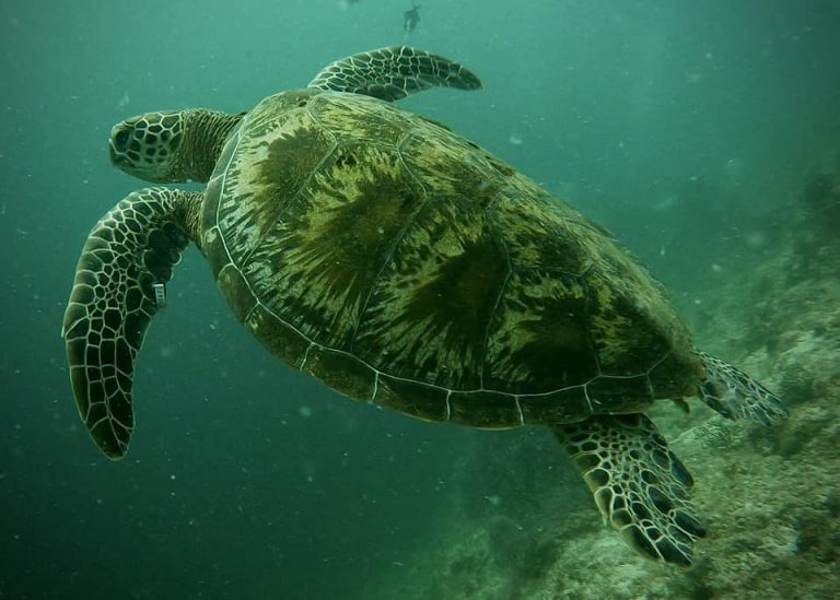 461765411_10161277830566281_5989545051541172182_n