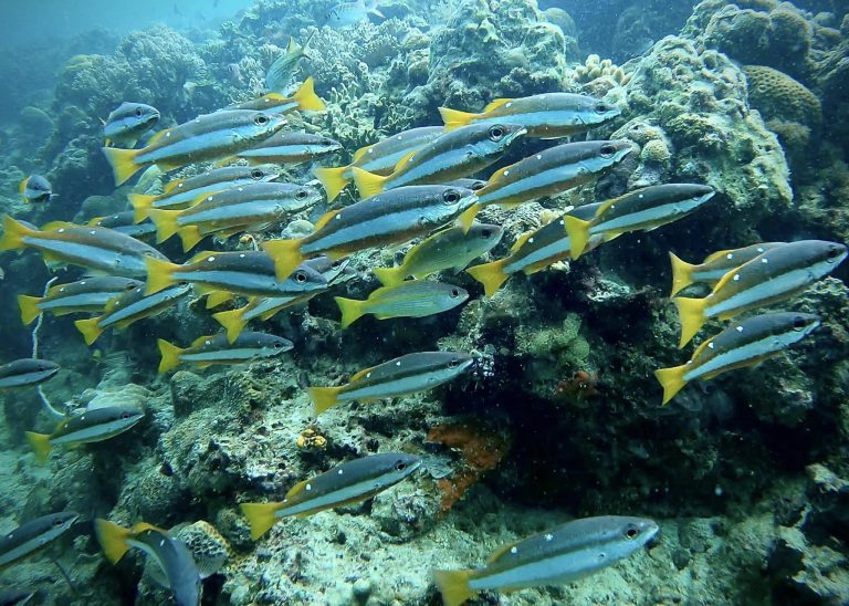 461771568_10161274374156281_158997166661571303_n