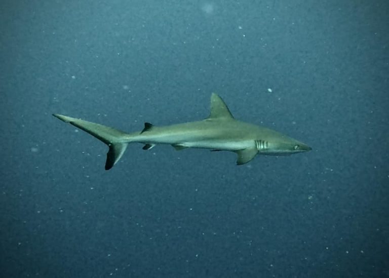 461773348_10161274371861281_5657387349612897688_n