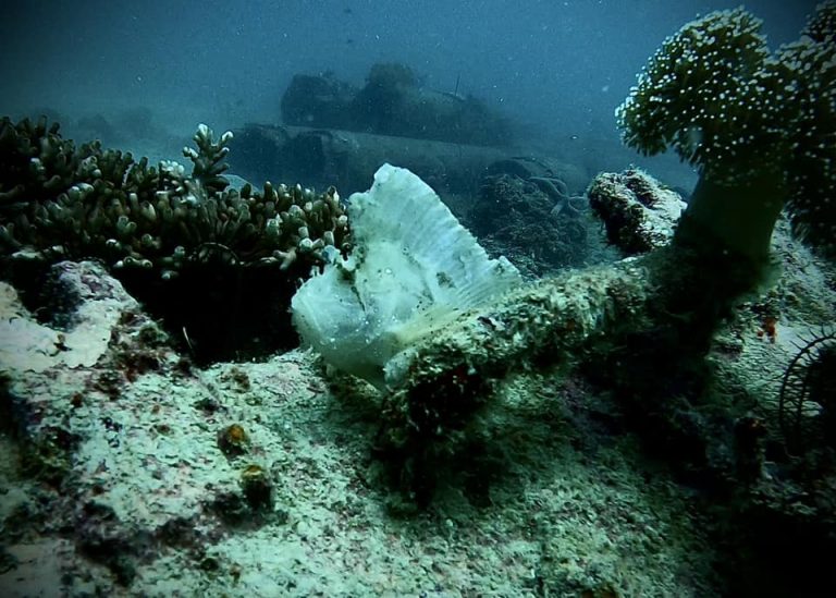 461775053_10161277831031281_8894890384179774699_n