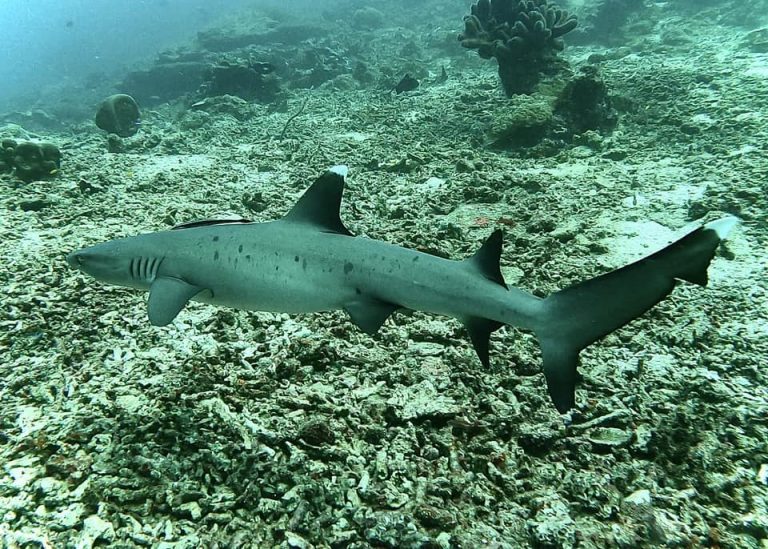 461789233_10161274371556281_4607361842192040830_n