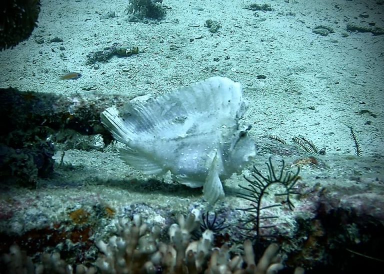 461806873_10161277824736281_7494065829460746415_n