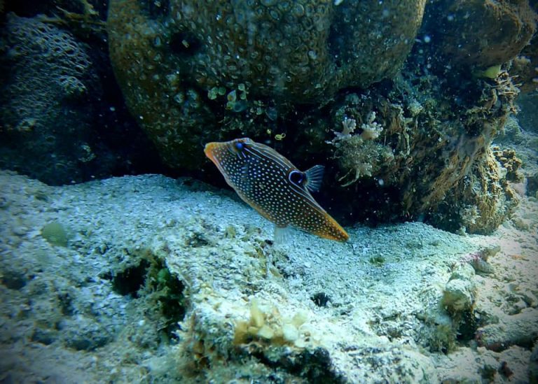 461833827_10161277830921281_2066152303829543012_n