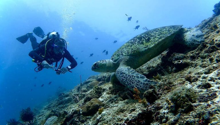 461851851_10161277830676281_7976687311777830622_n