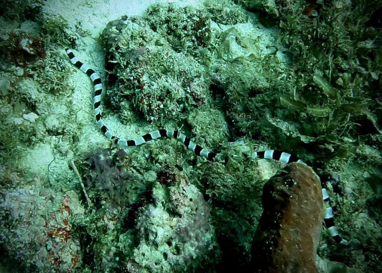 461856802_10161277830961281_1816674210229965778_n