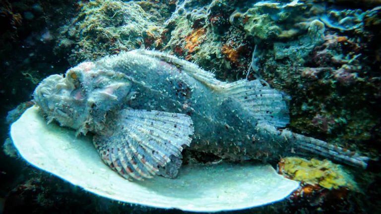 461867754_10161277824796281_7832624062361865680_n