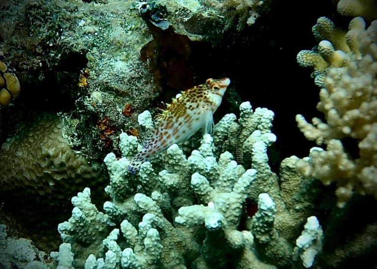 461880870_10161277831201281_1330103573681504784_n