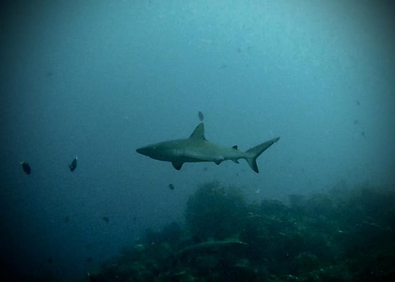 461894021_10161274372216281_1851172841563175125_n