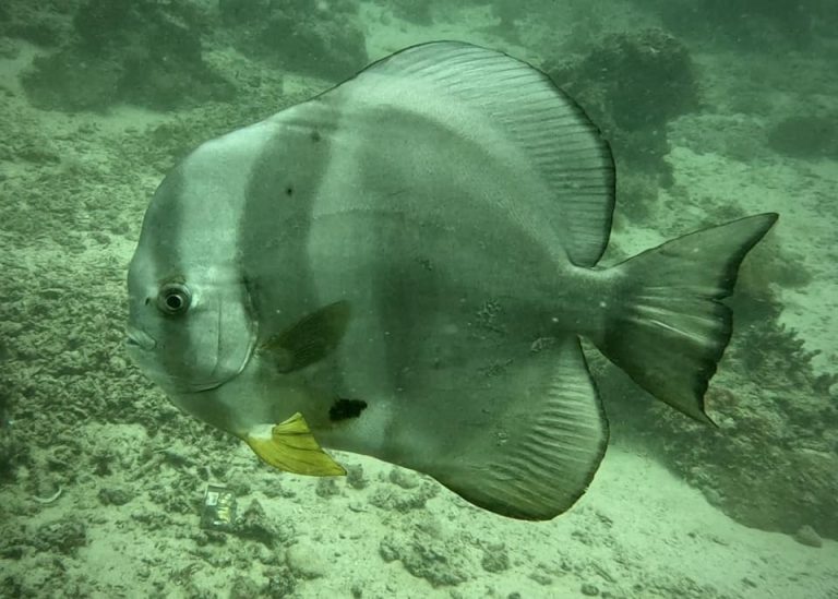 461963261_10161277830806281_7754222371093514815_n