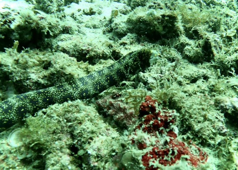 461964622_10161277831266281_8315862269860912727_n