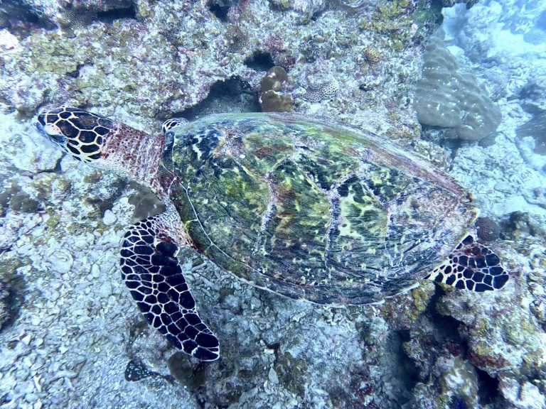 486104109_10162127876021281_5977745951814545173_n