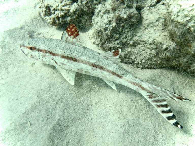 486360233_10162127877421281_8758514625728081431_n