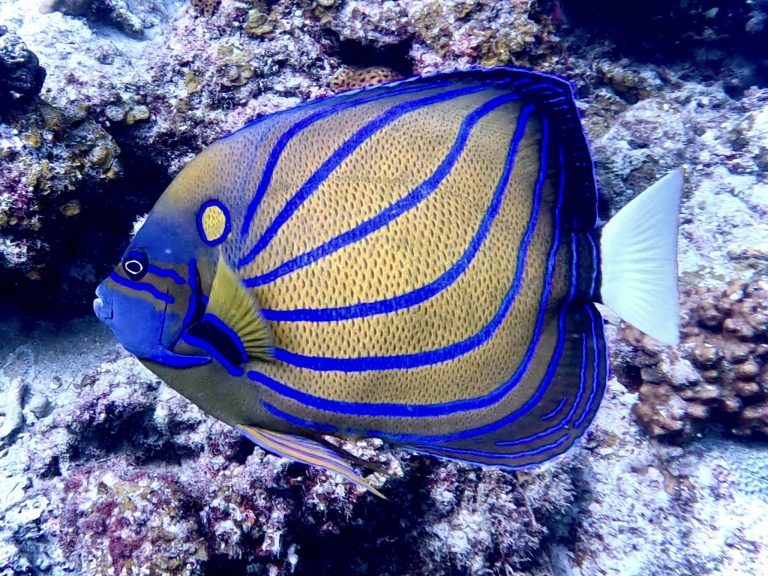 486387575_10162127878186281_1265457606732904653_n