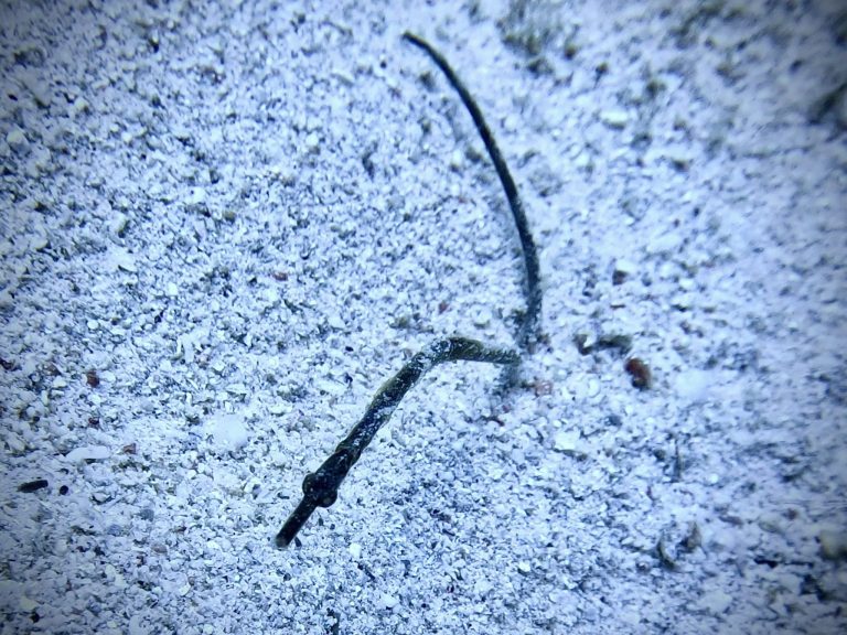 488934237_10162127877326281_2391118423322315224_n