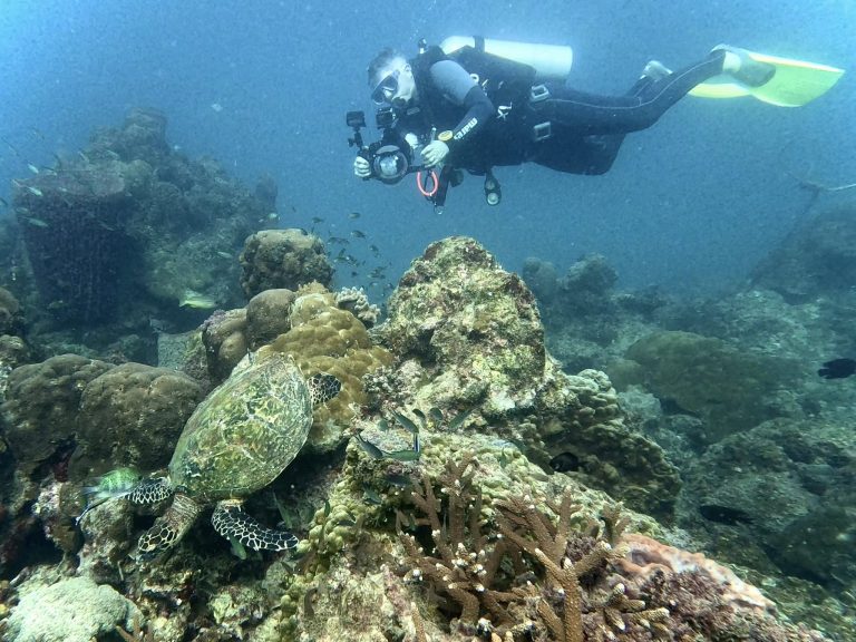 489460472_10162127876806281_8953549842098013330_n