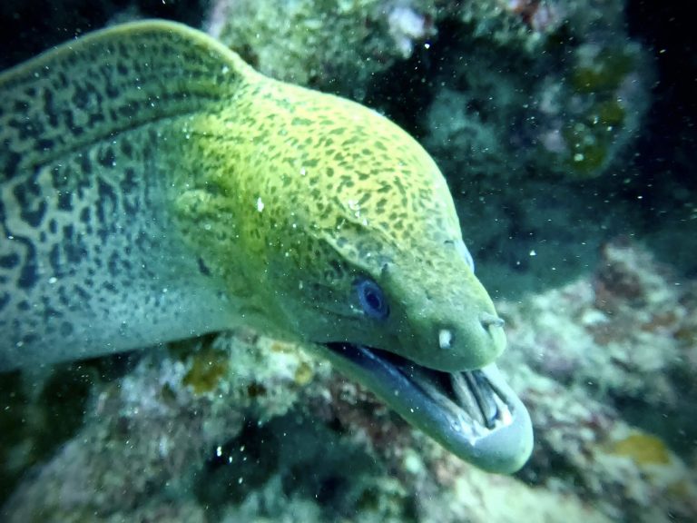 489819303_10162127873876281_6649591327377473913_n