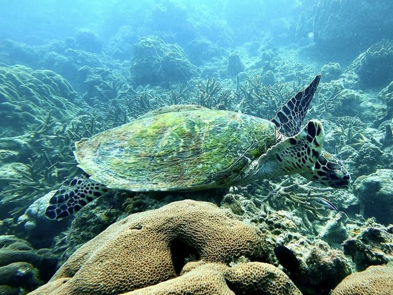 489961594_10162127873801281_6677464382717448167_n