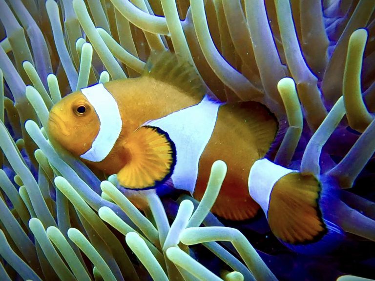 490127468_10162127874151281_7138377113617178192_n