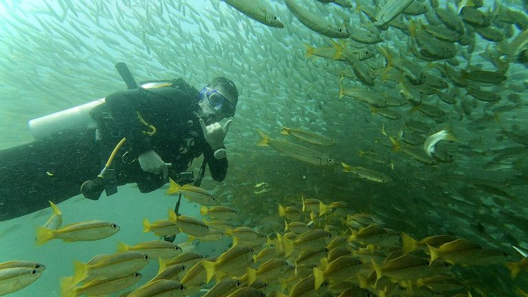 490467432_10162136249741281_4409345570518469427_n