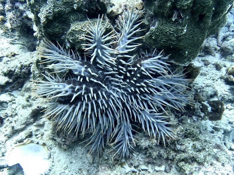 490508266_10162127874446281_8253860000687861214_n